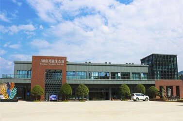 2. 创建会员卡点击“新增活动”按钮